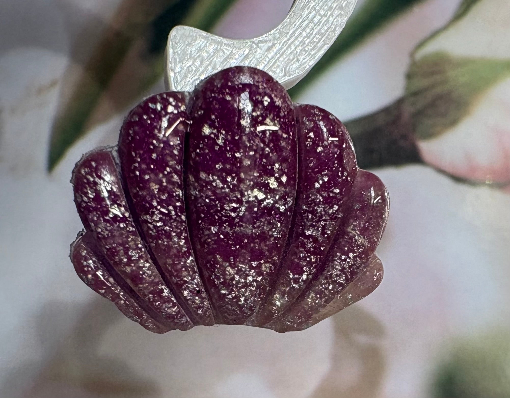 Coquillage violet