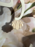 Coquillage blanc nacré
