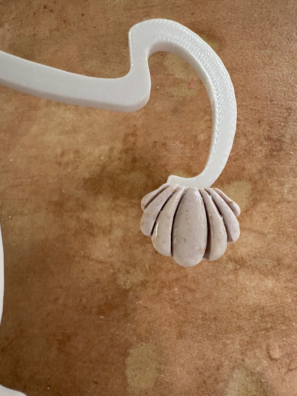 Coquillage blanc nacré