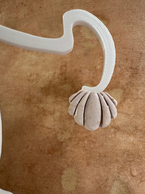 Coquillage blanc nacré